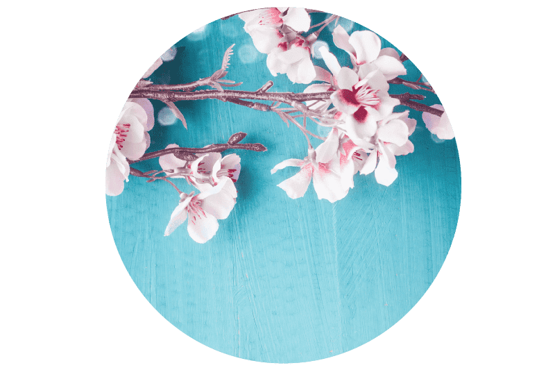 春のお彼岸特集ドロワー